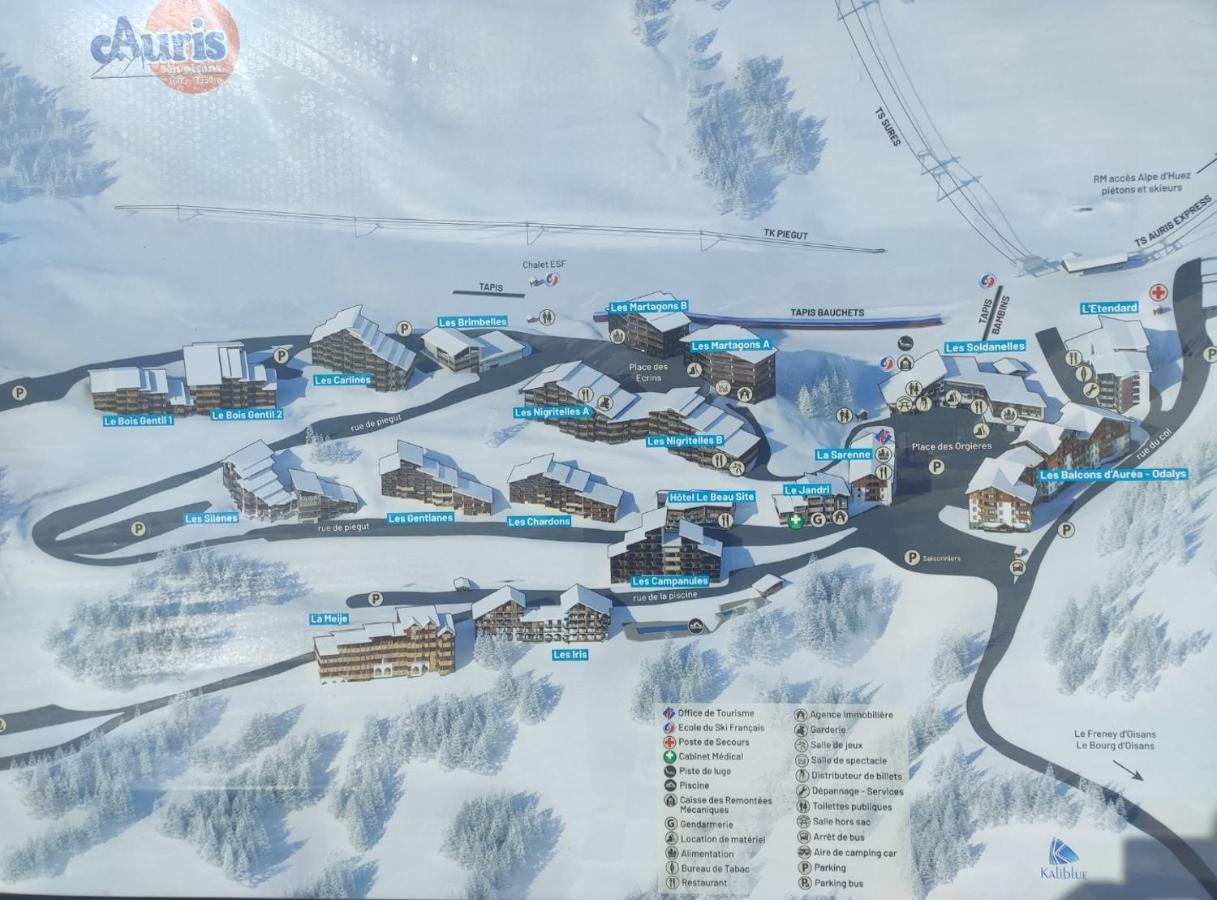 Апартаменты Auris Les Gentianes Station Alpe Huez Экстерьер фото
